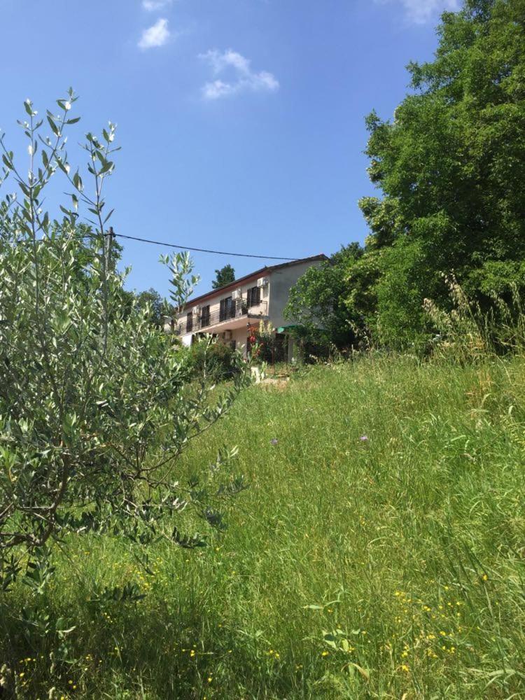 Apartment Cimbora, Salara Farmhouse Koper Exterior foto